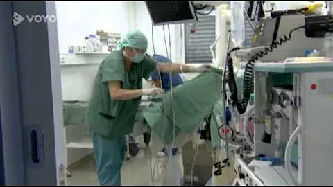 Proč si zveřejním kosmetiku na zvířatech?