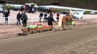 Matti Pakarinen Ja Esu