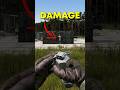 DayZ’s Secret Weapon… 💥