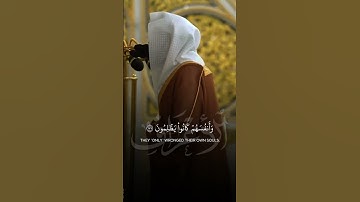 تلاوة بديعة من تراويح ليلة ١٢ رمضان ١٤٤٦هـ | تلاوة فضيلة الشيخ د.#عبدالله_القرافي