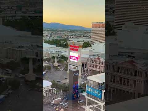 Welcome To Las Vegas Caesars Palace Flamingo The Linq Las Vegas #100 #shorts