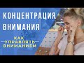 Концентрация внимания.  Как управлять вниманием.