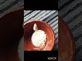 Protein rich with gut friendly✨