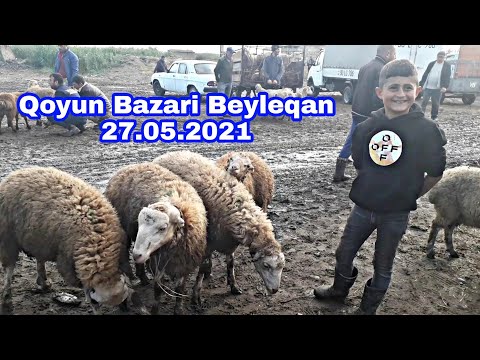 MAL QOYUN BAZARİ BEYLEQAN 27.05.2021