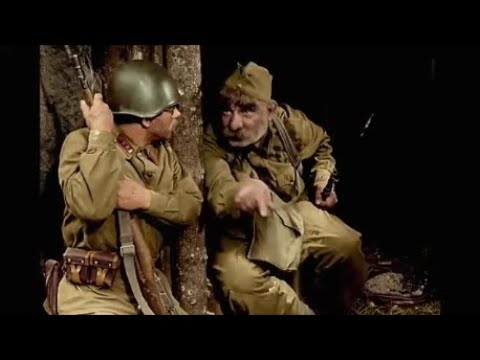 \"ჯარისკაცის მამა\" - ქართველი მებრძოლის გენეალოგია (jariskacis mama)