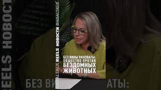 #adaltalk #мнение #помощьживотным #защитаживотных #stopanimalcruelty