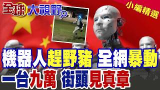 A Chinese-style humanoid robot appeared on the streets of Poland to 'chase wild boars,' waving go...