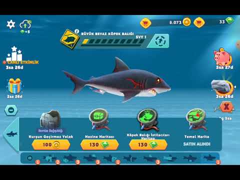 köpek balıklarımız bir harika köpek balığı oyunu 4 bölüm