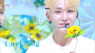 Seventeen  Darling indo Sub