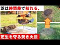 【知らないとヤバイ人です】焚き火で絶対に芝を焼かない知識と方法。