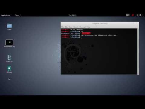 Прячем данные в изображении Стеганография