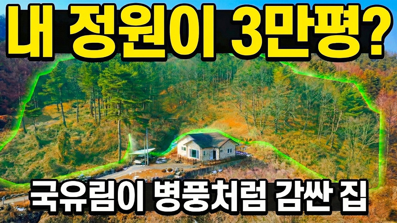 딱 3가구만 숨어사는 3만평 숲속 요새. 돈 주고도 못 사는 완벽한 '쉼'을 팝니다.