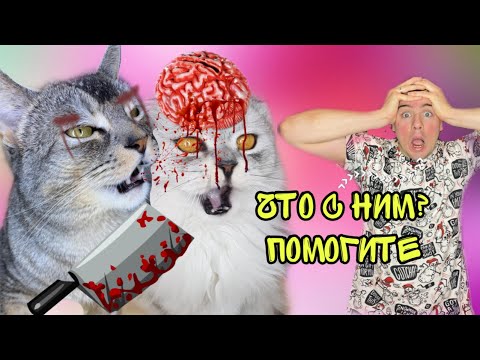 У КЕВИНА ВЫПАЛ МОЗГ | ДЕНЬ ПРАНКОВ ОТ КОТОВ НАД ЗВЕРОПАПОЙ