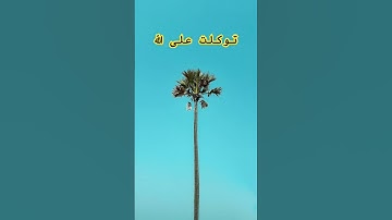 القرآن الكريم #peace #music #اكسبلور #المصحف #quran #قرآن #راحة_نفسية