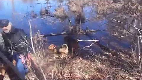RIVER