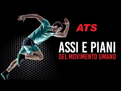 Video: Quali sono i tipi di movimento?