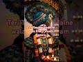 Khatu Shyam Baba ka Apne bhakton ke liye sandesh#shyamjibhakti #shyamkripa