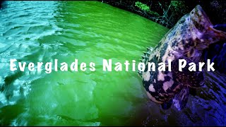Fishing Everglades National Park (Whitewater Bay)