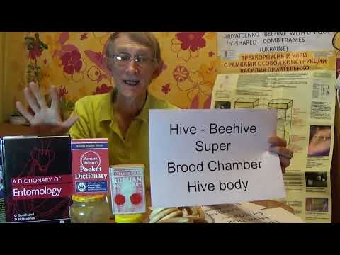 Английские Термины по Пчеловодству. Типы Ульев и Их Строение. Types of Beehives.