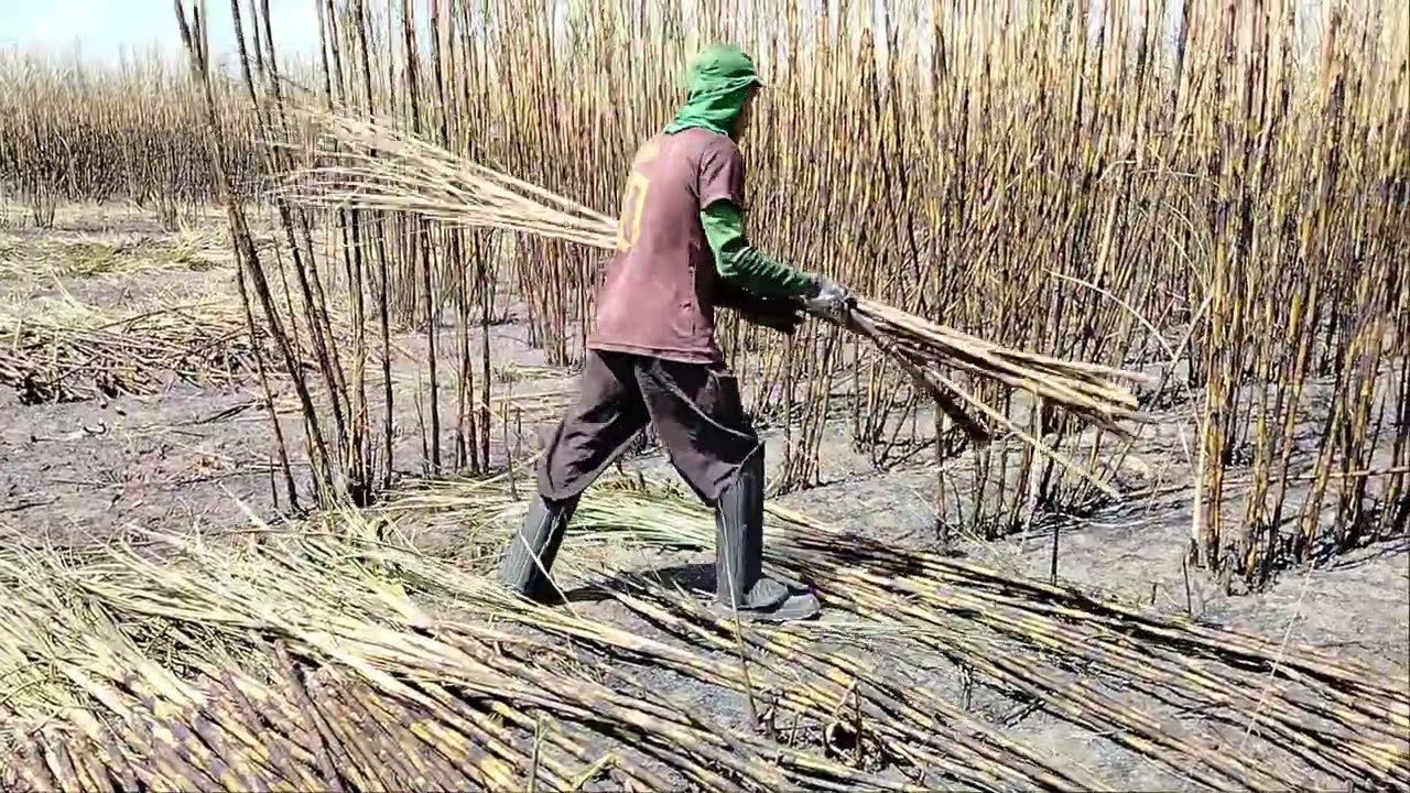qualidade de serviço cama boa e os homem gosta de #trabalhar!.