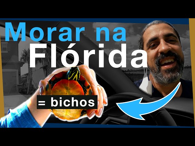 Como é morar na cidade de Americana? - MeuLugar