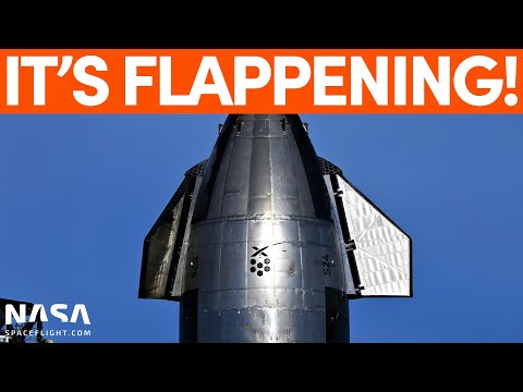 Ship 24 Comes Alive with Flap Testing | SpaceX Boca Chica