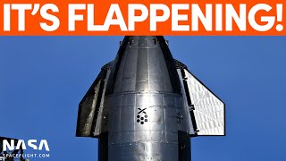 Ship 24 Comes Alive with Flap Testing | SpaceX Boca Chica
