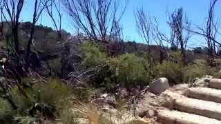 Blue Mountains, Australia by Ryana Pitkin 5 views 9 years ago 1 minute, 10 seconds