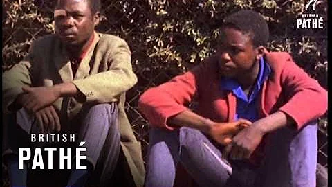 Out Of Work Africans  (1971)