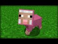 36 Rarest Things in Minecraft
