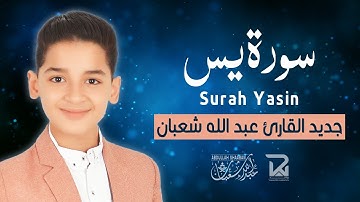 سورة يس (كاملة) - جديد و حصري القارئ عبد الله  شعبان - Surah Yasin by Abdullah Shaaban