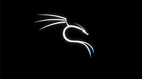 How To Install Kali Linux 2020.1 on USB Flash Drive+PERSISTENCE | Installation_Instructions.