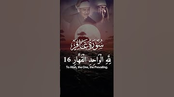 #القرآن_الكريم #المصحف #تلاوة_خاشعة #اكسبلور #راحة_نفسية #دويتو #duet
