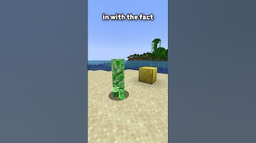 This is possibly Minecraft