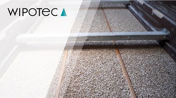 Product inspection of sunflower seeds for Magic Flame