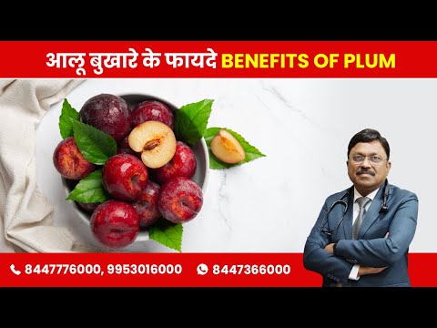 Plum (Aloo Bhukare): Know the benefits! | By Dr. Bimal Chhajer | Saaol