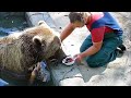 Воскресно-летнее утро. Медведь Мансур 🐻💞