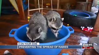 Omaha health experts warn against rare case of rabies