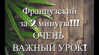 Как Заговорить По-Французски Быстро! Смотри Наш Урок!!!