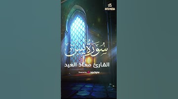ما تيسر من سورة يس #معاذ_العيد #قرآن #سورة_يس