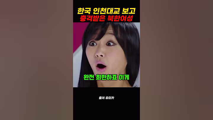 한국 인천대교 건설된 모습 보고 충격받은 북한 여성