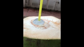 Original coconut explosion