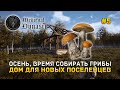 Осень, время собирать грибы. Дом для новых поселенцев - Medieval Dynasty #5