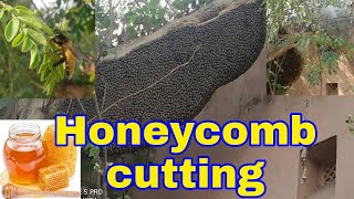 Honeycomb Cutting