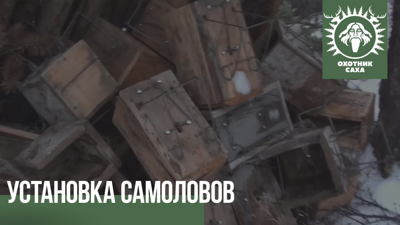 Дхо на соболь