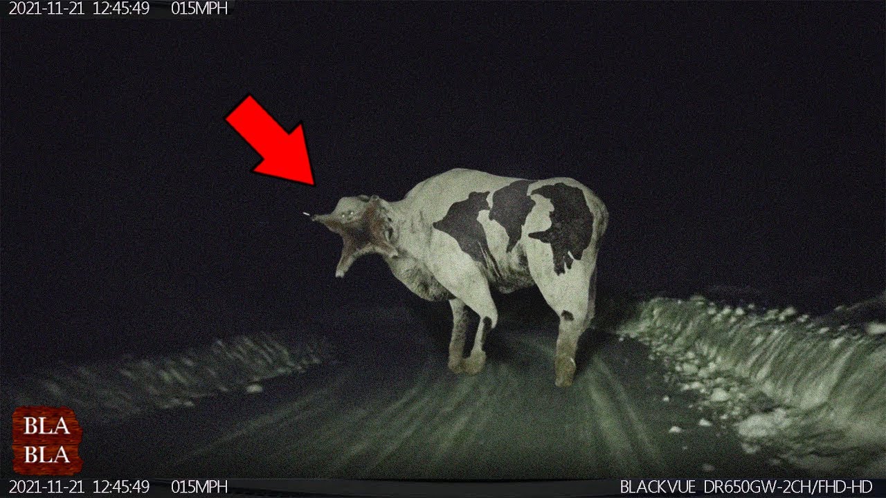 15 أشياء مرعبة صورتها عدسات الكاميرا صدفة ! بلابلا