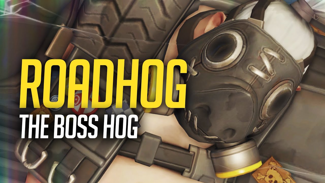 Overwatch Hog