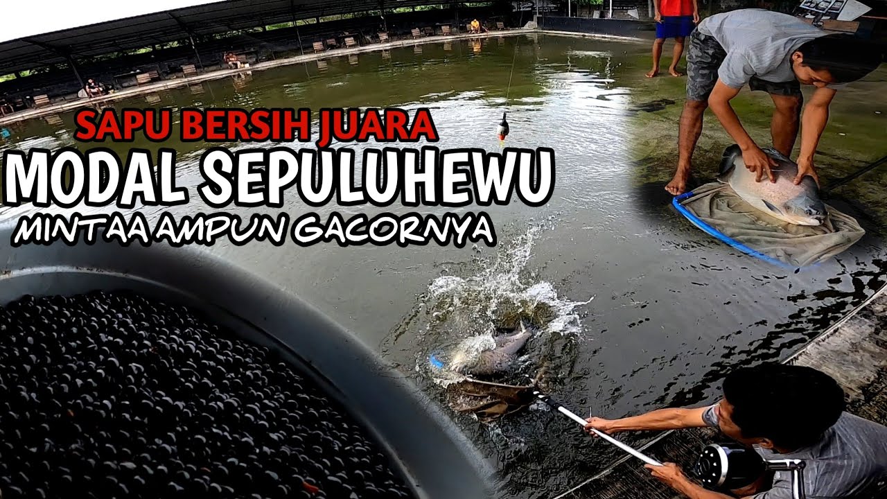 terlalu nekad,MODAL 10 RIBU SAPU BERSIH JUARA!!