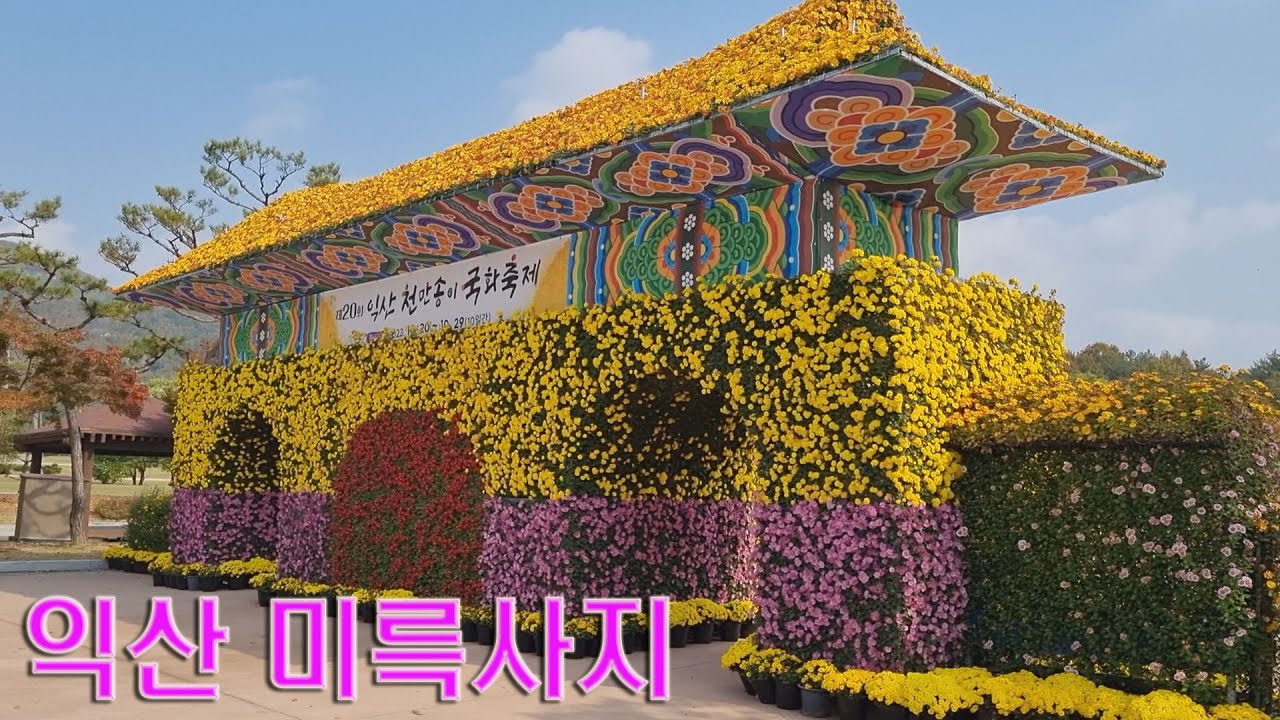 익산 미륵사지 국회축제. 익산 국화 축제의 한 부분으로 익산 미륵사지에 조성된 국화 입니다. - YouTube