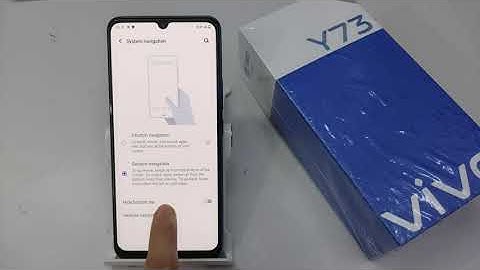 Vivo Y73 Full Screen Display | Vivo Y73 Me Full Screen Kaise Kare | Full Screen Mode Setting